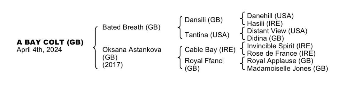 Bated Breath X Oksana Astankova 'Emporium100'