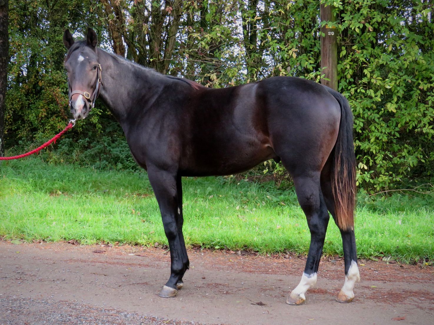 Bated Breath X Oksana Astankova 'Emporium100'