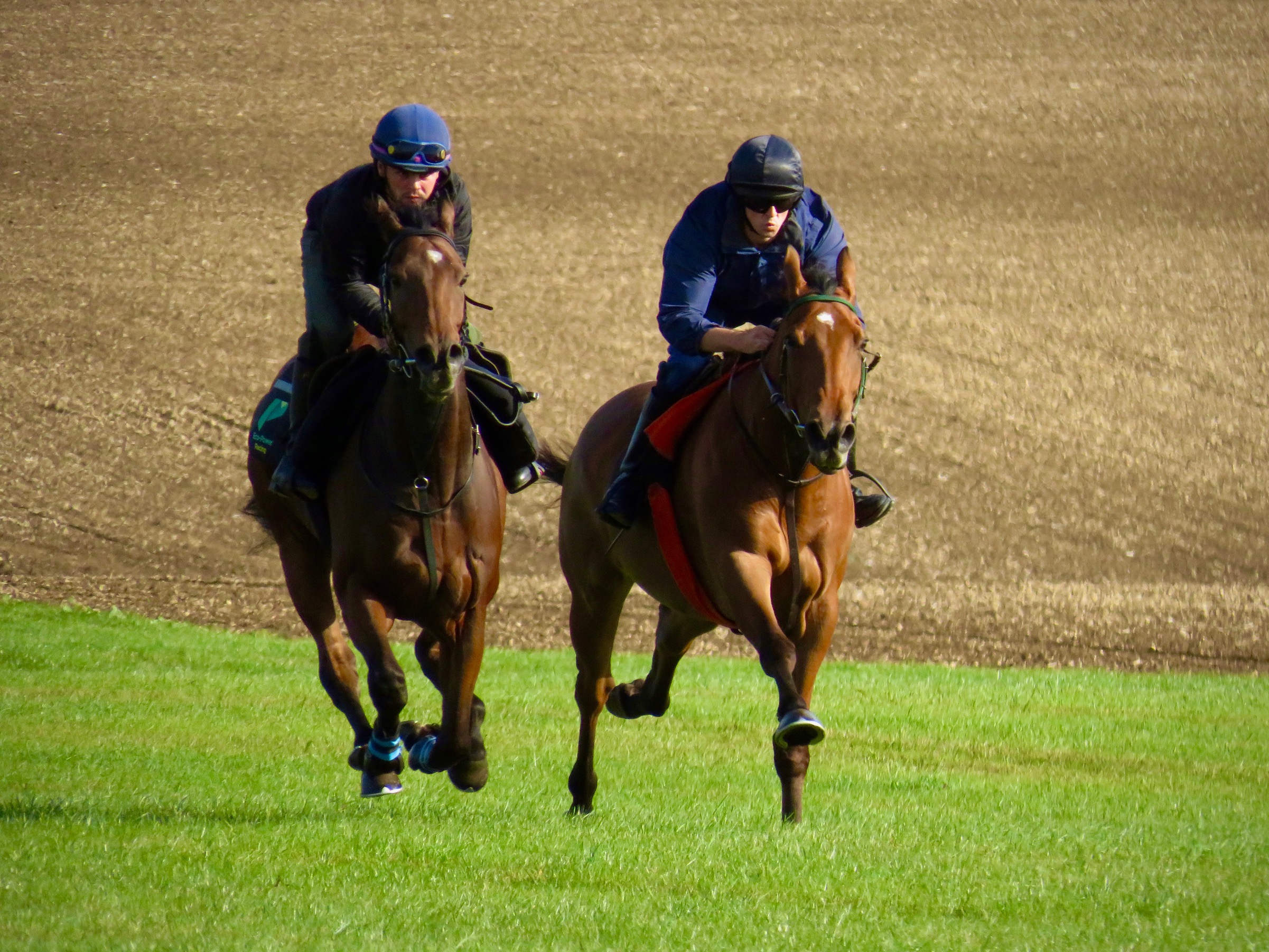 Sir Bobby Renewal 26/27