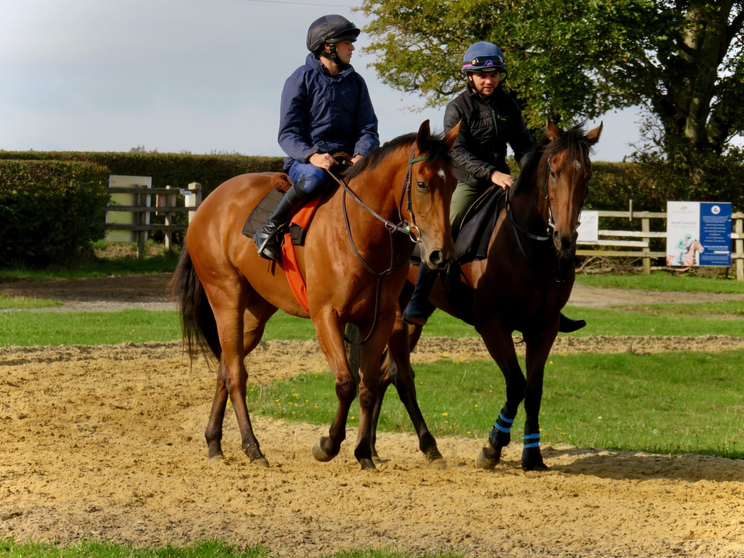 Sir Bobby Renewal 26/27