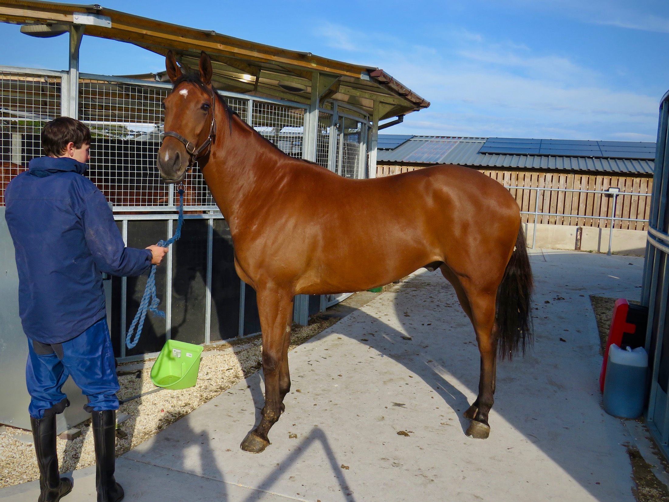 Sir Bobby Renewal 26/27